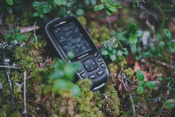 Gringa (GCBWJ80) — Found it